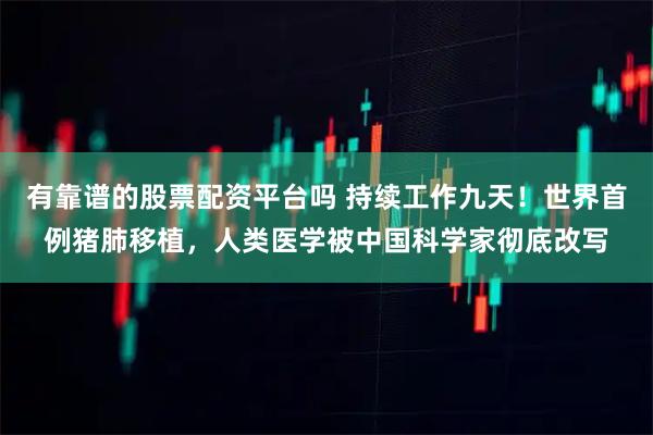 有靠谱的股票配资平台吗 持续工作九天！世界首例猪肺移植，人类医学被中国科学家彻底改写